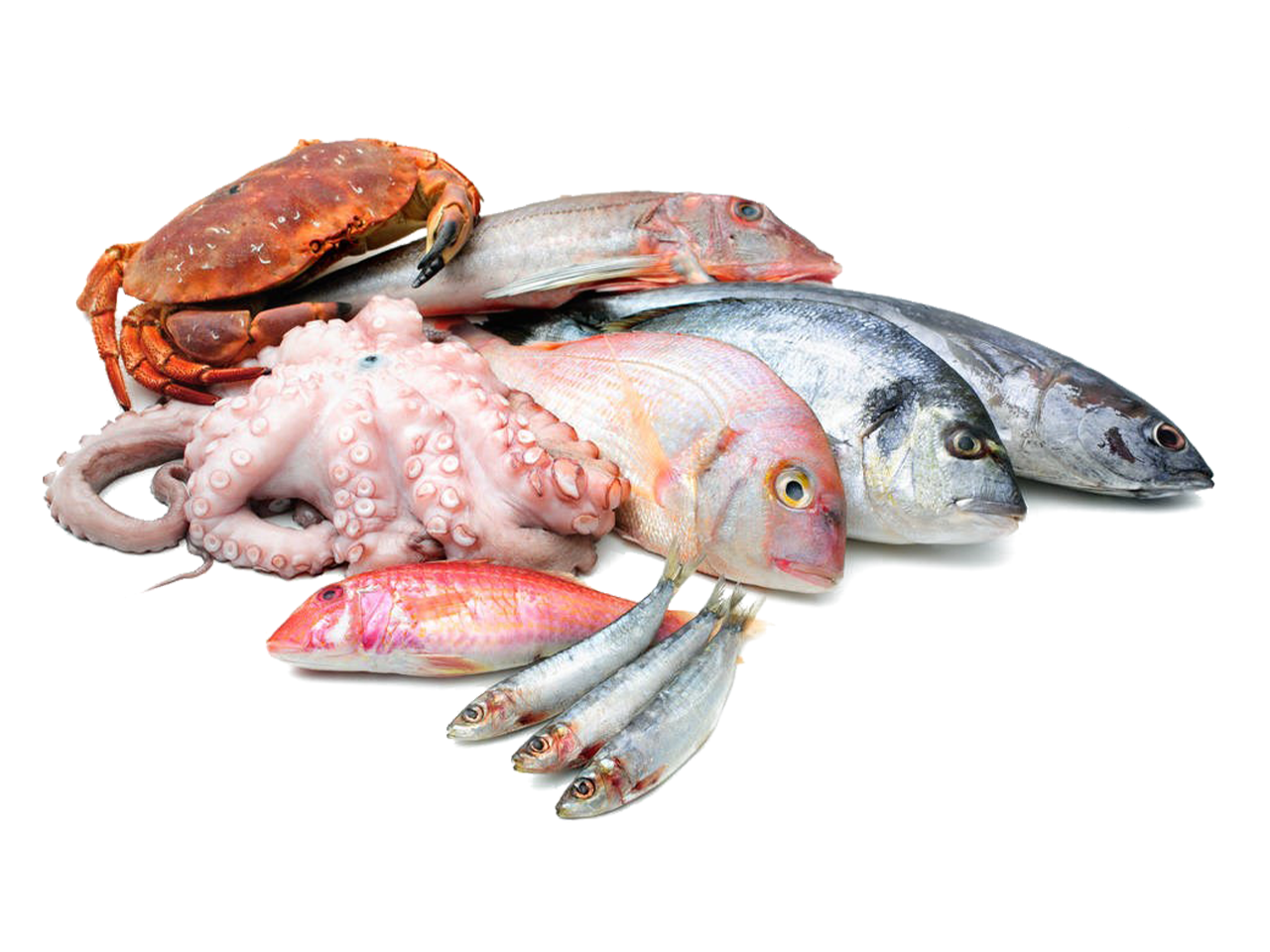 Seafood